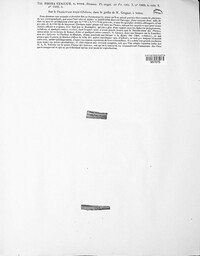 Boeremia exigua image